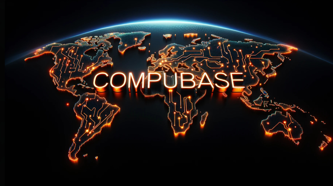 THE COMPANY THE COMPANY