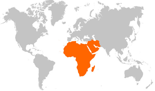 Emerging IT markets showing strong growth