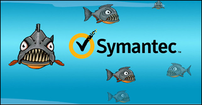 Symantec’s breakup is attracting hungry hordes