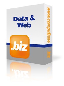 Data & Web Offer