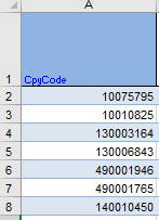Format of the file before uploading CPYCODE example
