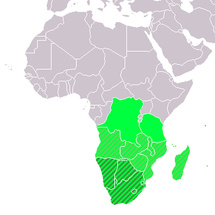 ICT Landscape in Southern Africa ICT Landscape in Southern Africa