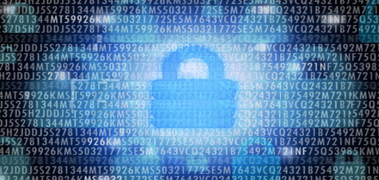 Cyber Security Partners by Brands of Security solution providers  Cyber Security Partners by Brands of Security solution providers