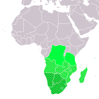 ICT Landscape in Southern Africa ICT Landscape in Southern Africa