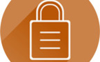 IT Security Partners - Activities