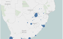 The South African IT &amp; Telecom Distribution Channel